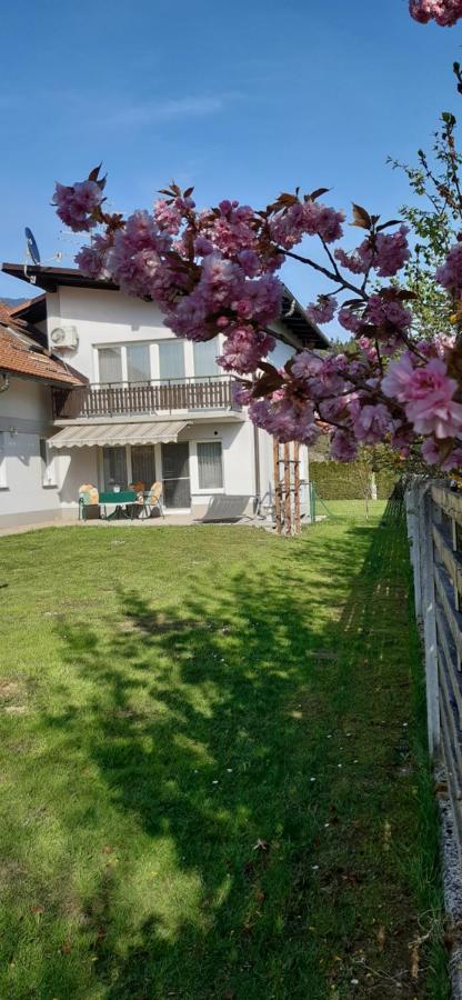 Apartmaji Mojca Križe Esterno foto