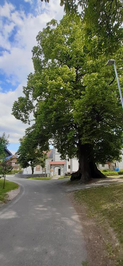 Apartmaji Mojca Križe Esterno foto