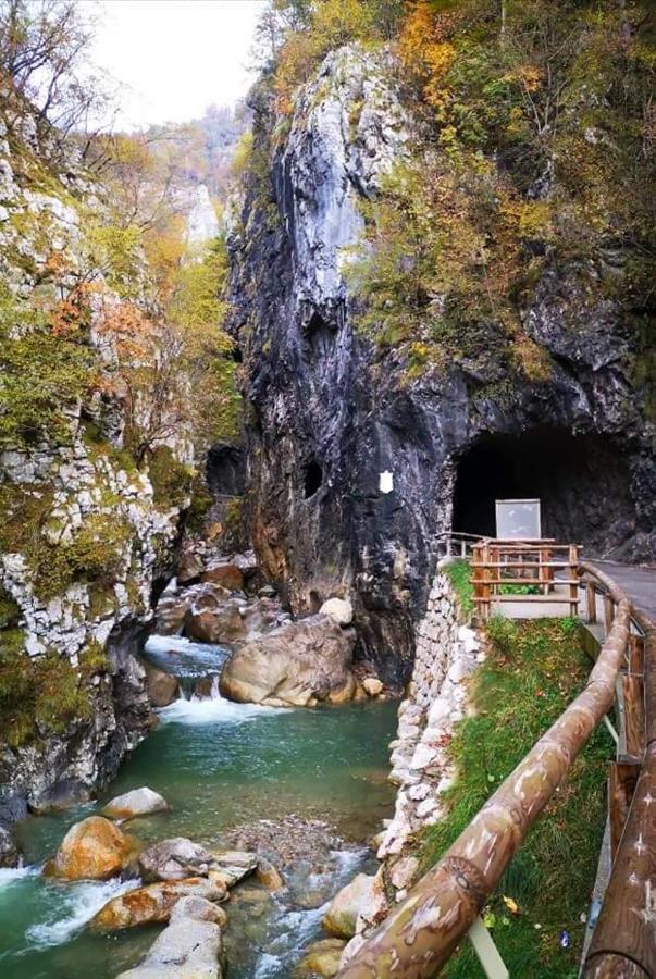 Apartmaji Mojca Križe Esterno foto
