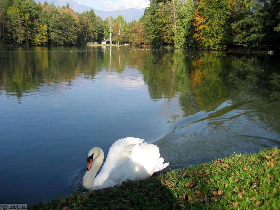 Apartmaji Mojca Križe Esterno foto