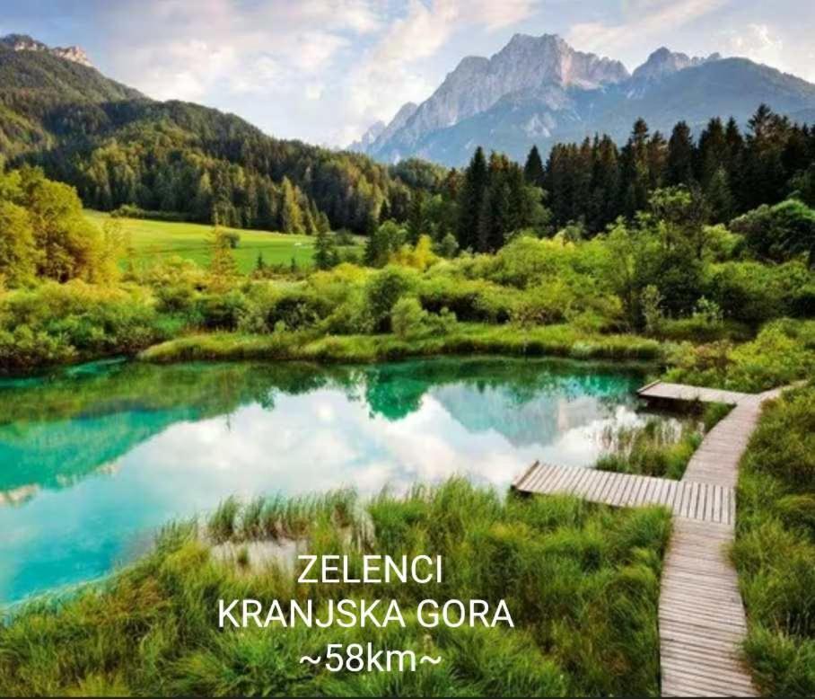 Apartmaji Mojca Križe Esterno foto