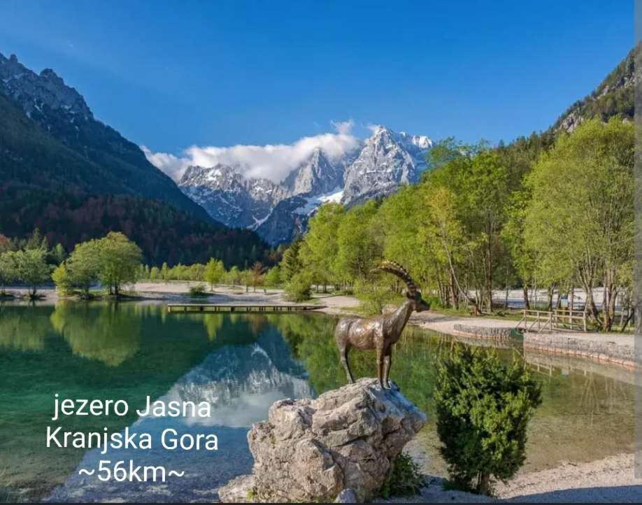 Apartmaji Mojca Križe Esterno foto