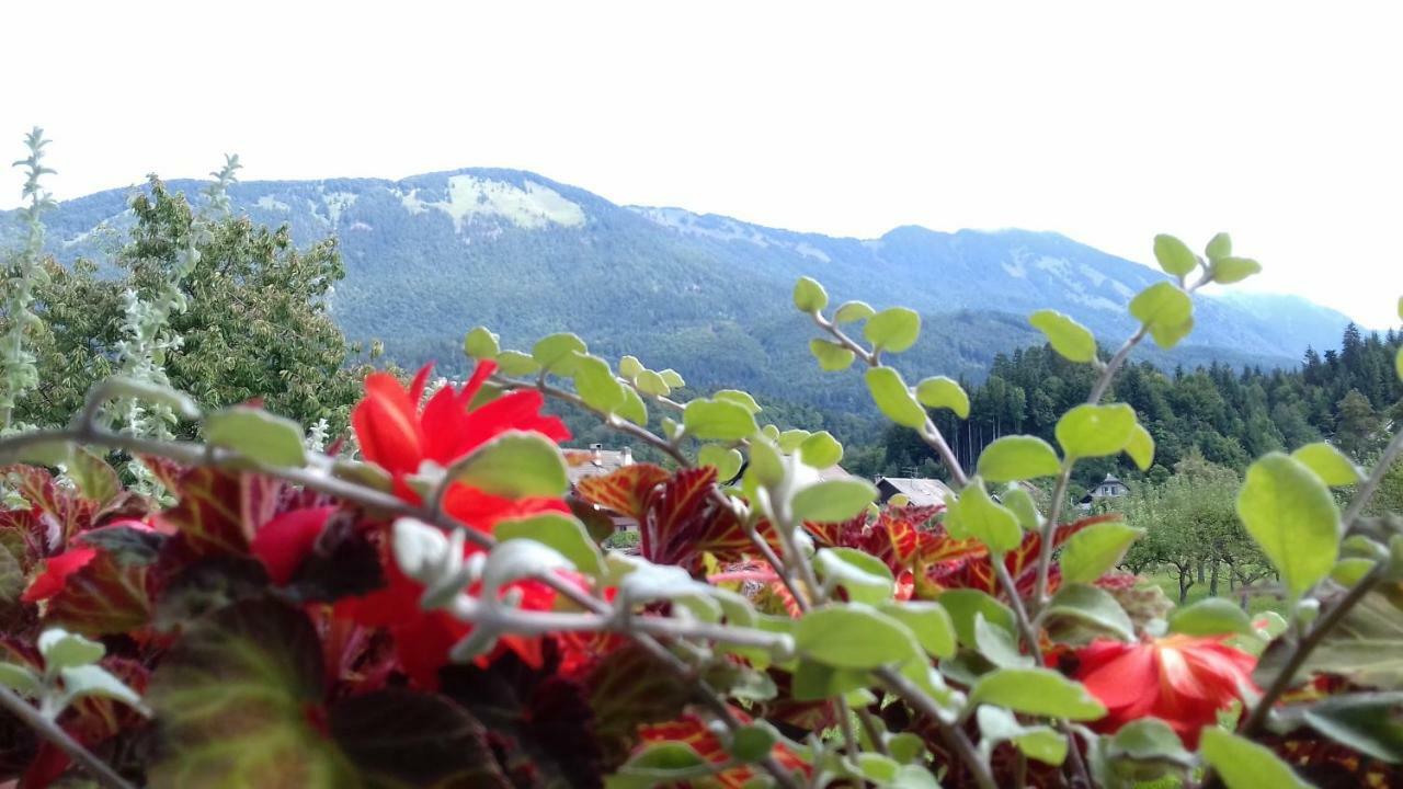 Apartmaji Mojca Križe Esterno foto